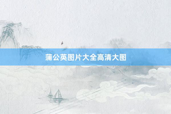 蒲公英图片大全高清大图